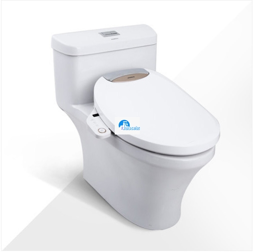 Bidet Tocadores Hygienic Shower For Bathroom Faucets Portable Wc Smart  Toilet Faucet Bathroom Japanese Toilet Toilets Drying - Bidets - AliExpress